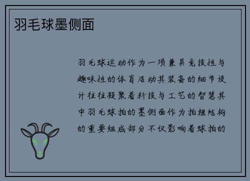 羽毛球墨侧面